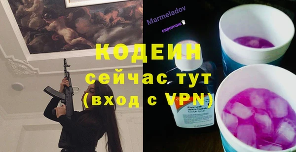 хмурый Нягань