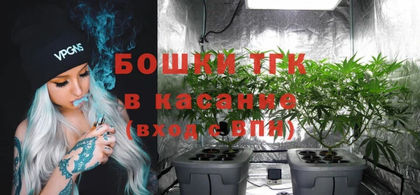 ALPHA PVP Няндома