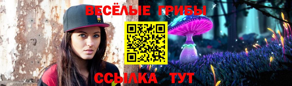 Галлюциногенные грибы прущие грибы Приморско-Ахтарск