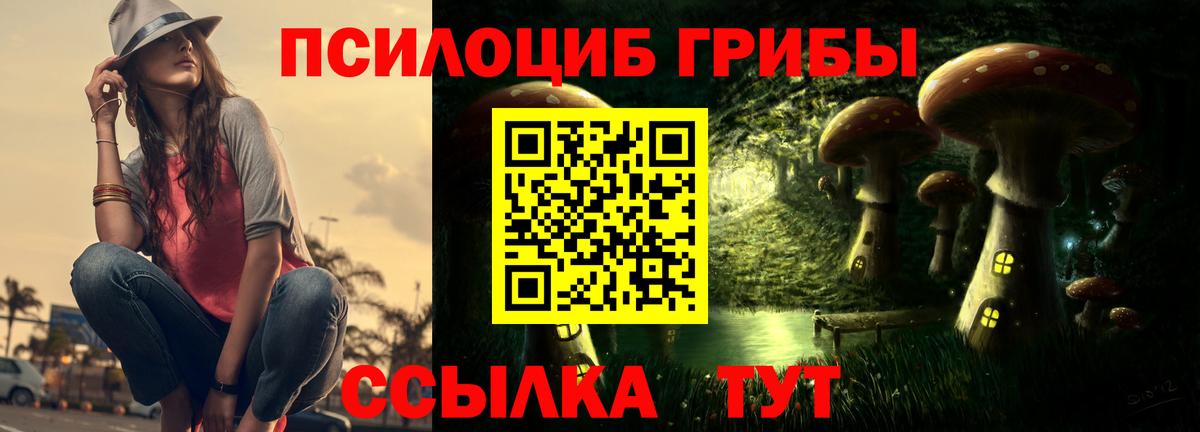 Приморско-Ахтарск  Галлюциногенные грибы мухоморы  сколько стоит  Вход с VPN 